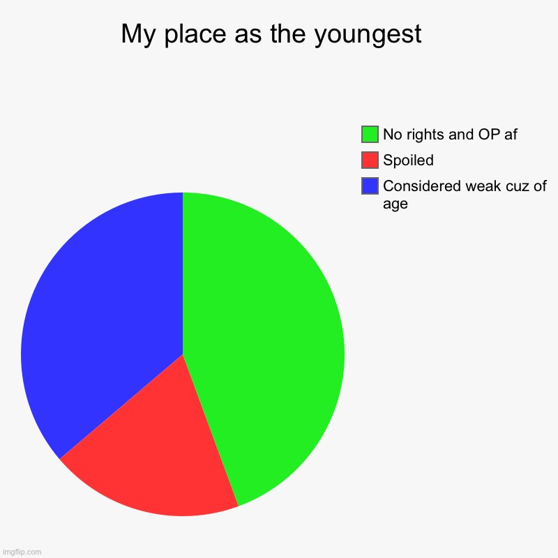 My place as the youngest  | Considered weak cuz of age, Spoiled, No rights and OP af | image tagged in charts,pie charts | made w/ Imgflip chart maker