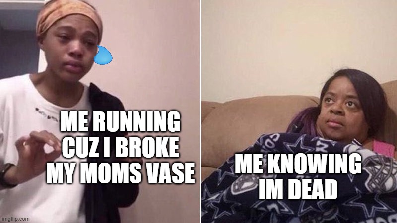 Me explaining to my mom | ME RUNNING CUZ I BROKE MY MOMS VASE; ME KNOWING IM DEAD | image tagged in me explaining to my mom | made w/ Imgflip meme maker