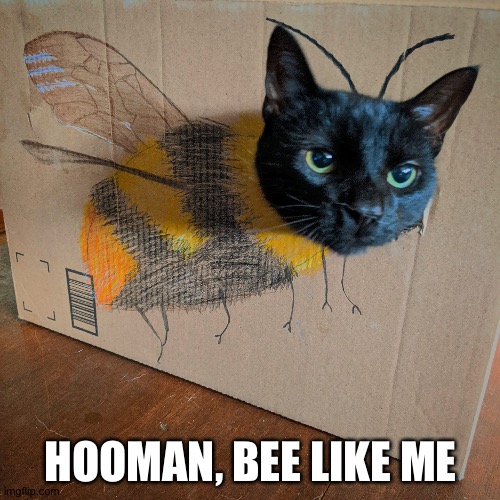 HOOMAN, BEE LIKE ME | made w/ Imgflip meme maker