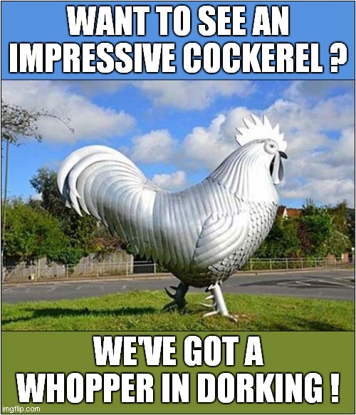 Now That's What I Call A Big Chicken ! | WANT TO SEE AN IMPRESSIVE COCKEREL ? WE'VE GOT A WHOPPER IN DORKING ! | image tagged in fun,cockerel,dorking,statue | made w/ Imgflip meme maker