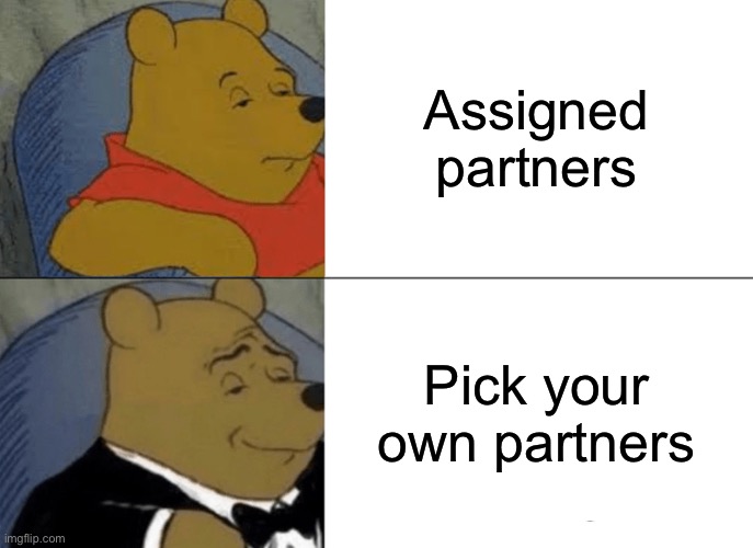 Tuxedo Winnie The Pooh Meme | Assigned partners; Pick your own partners | image tagged in memes,tuxedo winnie the pooh | made w/ Imgflip meme maker