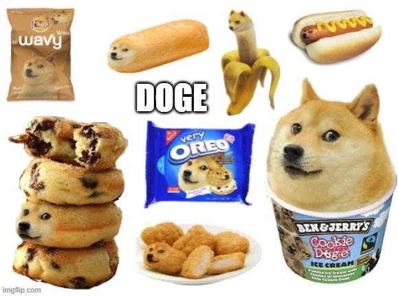 doge | DOGE | image tagged in doge | made w/ Imgflip meme maker