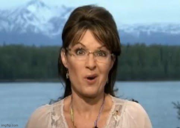 Sarah Palin | image tagged in sarah palin | made w/ Imgflip meme maker