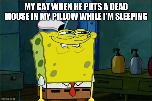 Don't You Squidward | MY CAT WHEN HE PUTS A DEAD MOUSE IN MY PILLOW WHILE I’M SLEEPING | image tagged in memes,don't you squidward | made w/ Imgflip meme maker