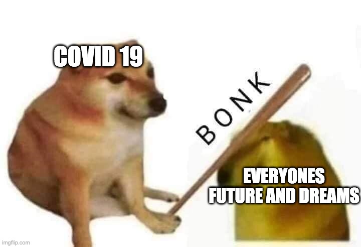 Doge bonk | COVID 19; EVERYONES FUTURE AND DREAMS | image tagged in doge bonk | made w/ Imgflip meme maker