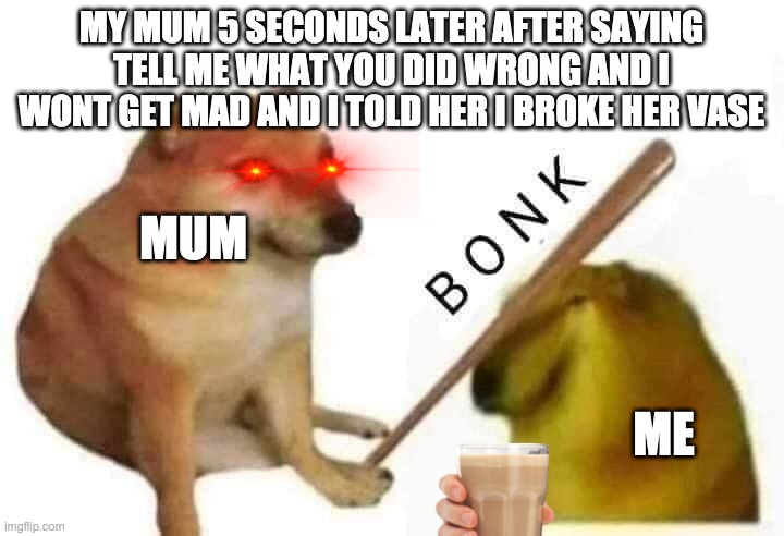 Doge bonk | MY MUM 5 SECONDS LATER AFTER SAYING TELL ME WHAT YOU DID WRONG AND I WONT GET MAD AND I TOLD HER I BROKE HER VASE; MUM; ME | image tagged in doge bonk | made w/ Imgflip meme maker