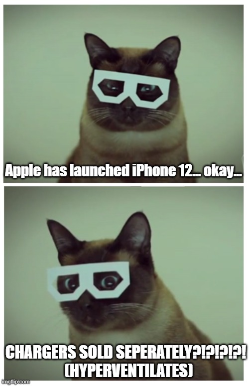 Cat In Glasses- iPhone 12 | Apple has launched iPhone 12... okay... CHARGERS SOLD SEPERATELY?!?!?!?!   (HYPERVENTILATES) | image tagged in shocked cat in glasses,shocked cat,iphone 12,apple,memes,funny cat | made w/ Imgflip meme maker