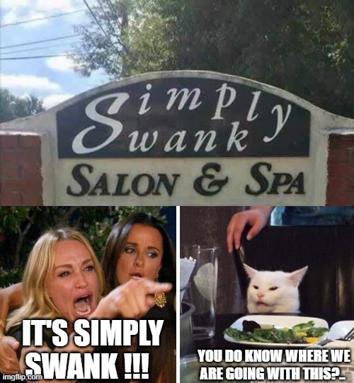 IT'S SIMPLY SWANK !!! YOU DO KNOW WHERE WE ARE GOING WITH THIS?.. | image tagged in smudge the cat | made w/ Imgflip meme maker
