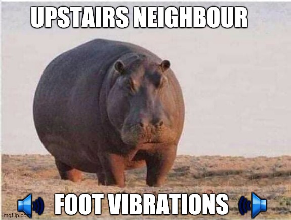 Upstairs neighbour | UPSTAIRS NEIGHBOUR; 🔊  FOOT VIBRATIONS  🕪 | image tagged in the scroll of truth | made w/ Imgflip meme maker