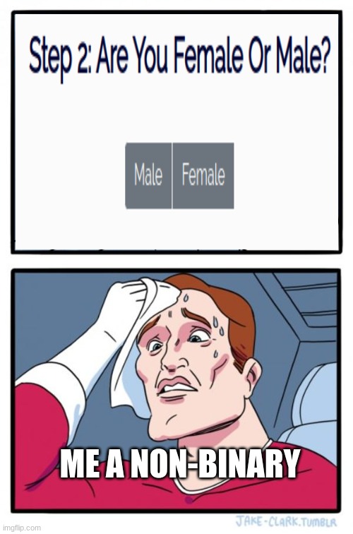 who else has these problems | ME A NON-BINARY | image tagged in memes,two buttons | made w/ Imgflip meme maker