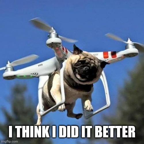 Flying Pug | I THINK I DID IT BETTER | image tagged in flying pug | made w/ Imgflip meme maker