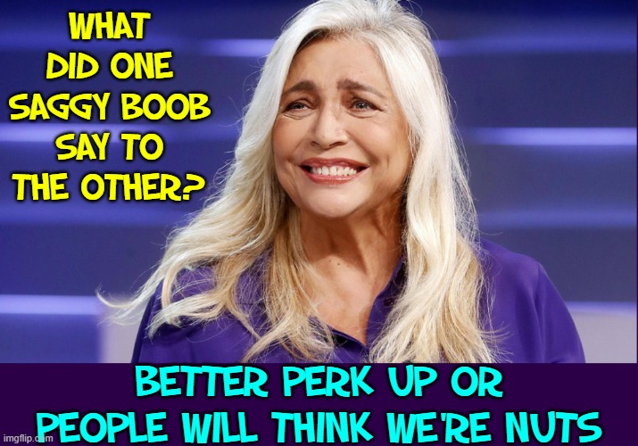 The Case of the Talking TA-TAs | WHAT DID ONE SAGGY BOOB SAY TO THE OTHER? BETTER PERK UP OR PEOPLE WILL THINK WE'RE NUTS | image tagged in vince vance,old age,nuts,elderly,boobs,memes | made w/ Imgflip meme maker