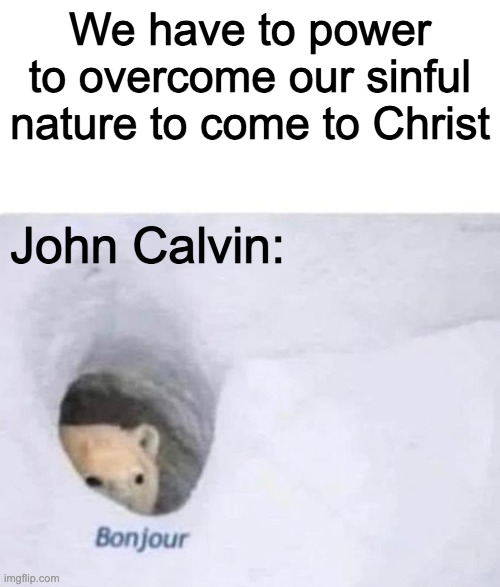 Catholic Church: | We have to power to overcome our sinful nature to come to Christ; John Calvin: | image tagged in bonjour | made w/ Imgflip meme maker