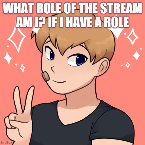 i would say the wholesome guy but then i see melody's posts at 12:00 | WHAT ROLE OF THE STREAM AM I? IF I HAVE A ROLE | image tagged in oc | made w/ Imgflip meme maker