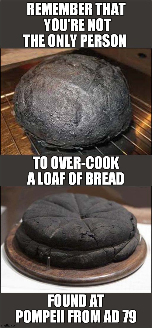 A Baking Mishap ? |  REMEMBER THAT  YOU'RE NOT THE ONLY PERSON; TO OVER-COOK A LOAF OF BREAD; FOUND AT POMPEII FROM AD 79 | image tagged in fun,baking,bread,pompeii | made w/ Imgflip meme maker