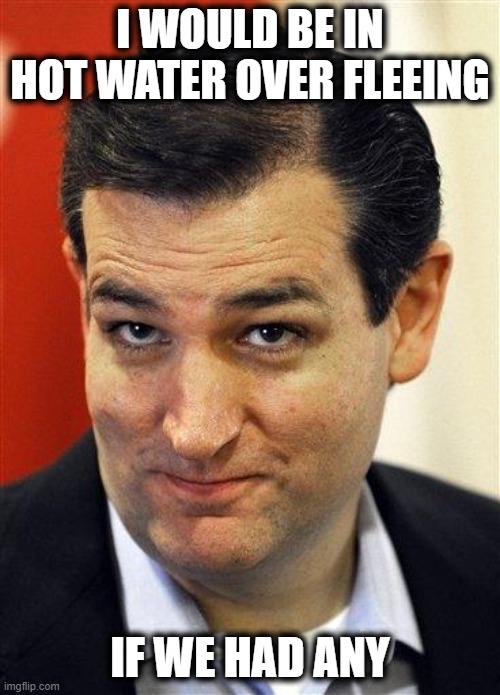 Fled Cruz | I WOULD BE IN HOT WATER OVER FLEEING; IF WE HAD ANY | image tagged in bashful ted cruz,memes,texas,politics,conservatives | made w/ Imgflip meme maker