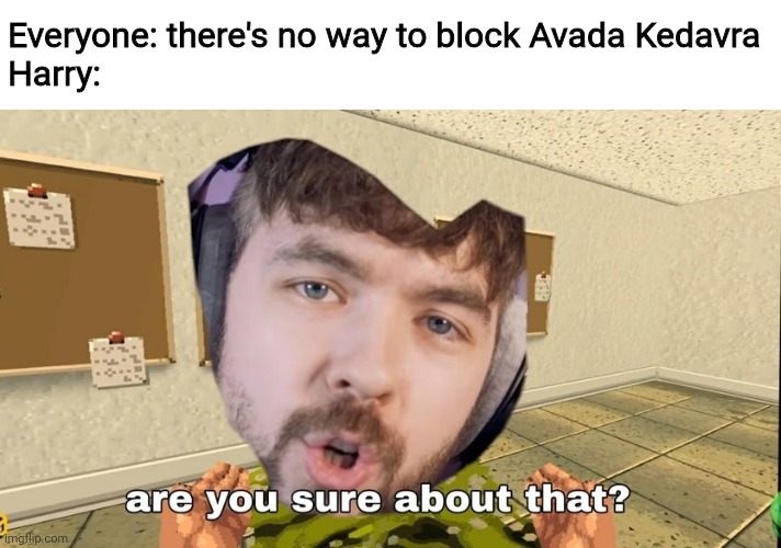 Jacksepticeye Are you sure about that | Everyone: there's no way to block Avada Kedavra
Harry: | image tagged in jacksepticeye are you sure about that | made w/ Imgflip meme maker