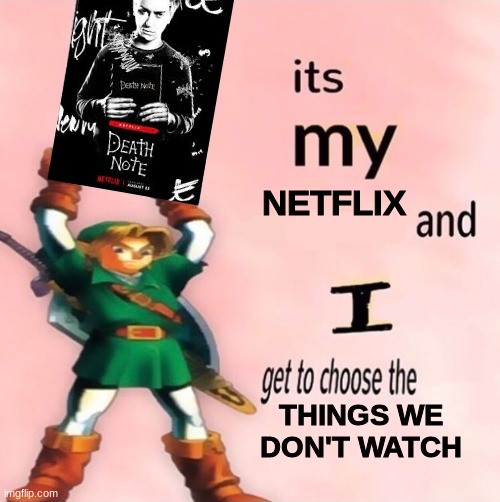 the plot said: lol nope | NETFLIX; THINGS WE DON'T WATCH | image tagged in it's my and i get to choose the | made w/ Imgflip meme maker