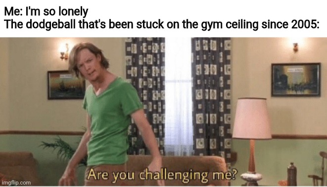 are you challenging me | Me: I'm so lonely
The dodgeball that's been stuck on the gym ceiling since 2005: | image tagged in are you challenging me | made w/ Imgflip meme maker