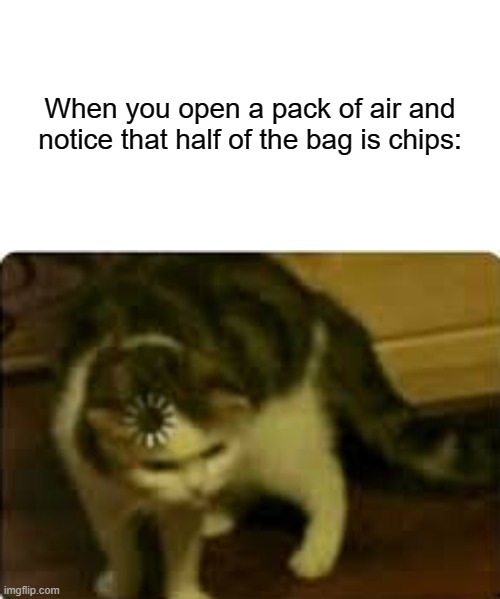 I got ripped off the other day when I opened a bag of air and half of it was only chips |  When you open a pack of air and notice that half of the bag is chips: | image tagged in buffering cat,memes,funny,potato chips,air | made w/ Imgflip meme maker