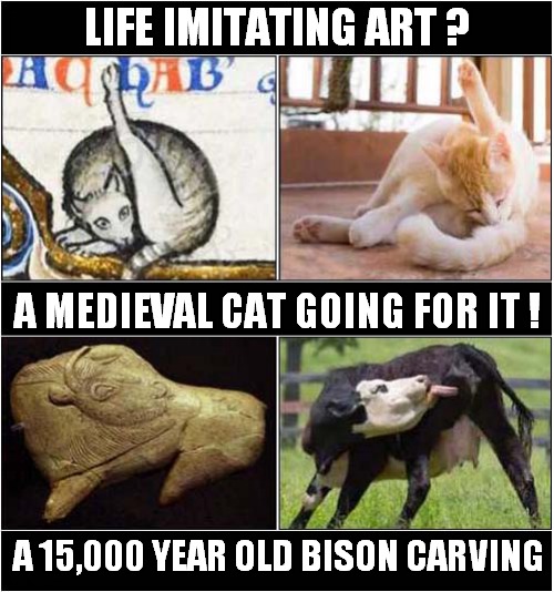 Beautiful Art Work ! | LIFE IMITATING ART ? A MEDIEVAL CAT GOING FOR IT ! A 15,000 YEAR OLD BISON CARVING | image tagged in life imitating art,medieval,neolithic | made w/ Imgflip meme maker