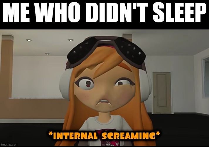 ME WHO DIDN'T SLEEP | image tagged in meggy internal screaming | made w/ Imgflip meme maker
