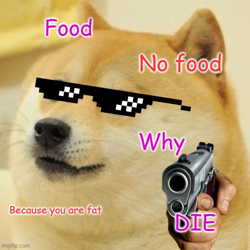 Doge Meme | Food; No food; Why; Because you are fat; DIE | image tagged in memes,doge | made w/ Imgflip meme maker