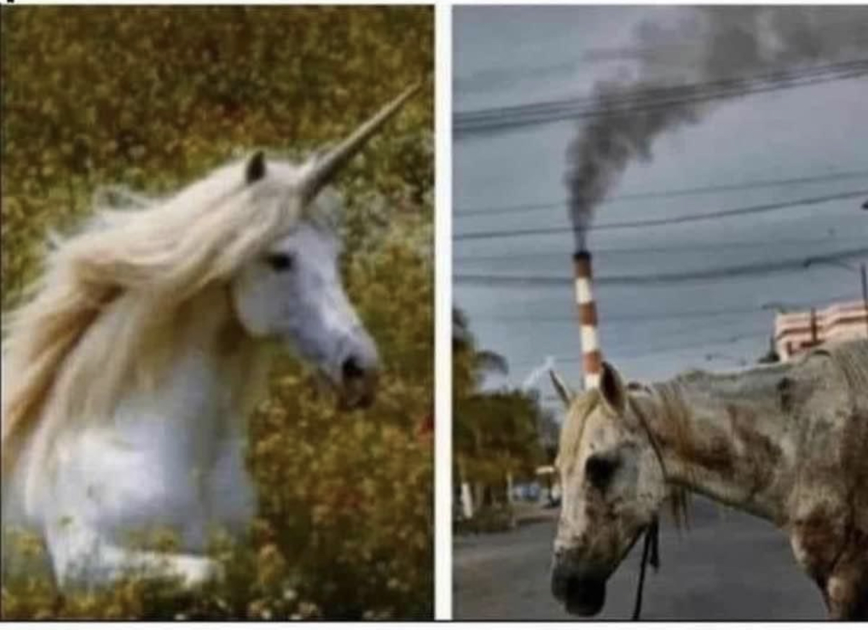 High Quality Unicorns Blank Meme Template