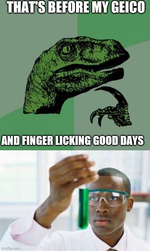 THAT'S BEFORE MY GEICO; AND FINGER LICKING GOOD DAYS | image tagged in memes,philosoraptor,finally | made w/ Imgflip meme maker