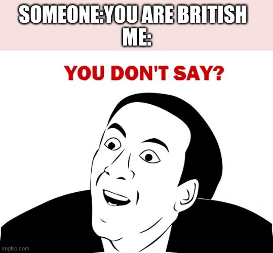 You Don't Say | SOMEONE:YOU ARE BRITISH  
ME: | image tagged in memes,you don't say | made w/ Imgflip meme maker
