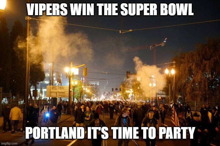 portland riot | VIPERS WIN THE SUPER BOWL; PORTLAND IT'S TIME TO PARTY | image tagged in portland riot | made w/ Imgflip meme maker