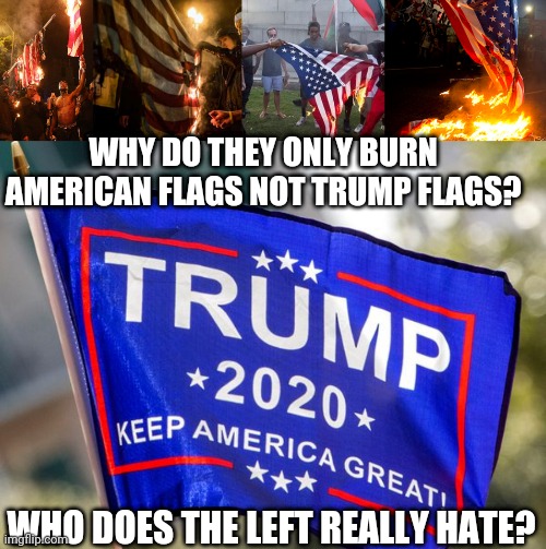 Who do you really hate? | WHY DO THEY ONLY BURN AMERICAN FLAGS NOT TRUMP FLAGS? WHO DOES THE LEFT REALLY HATE? | image tagged in american flag | made w/ Imgflip meme maker