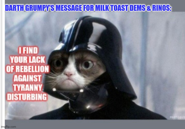 DARTH GRUMPY'S MESSAGE FOR MILK TOAST DEMS & RINOS: | made w/ Imgflip meme maker