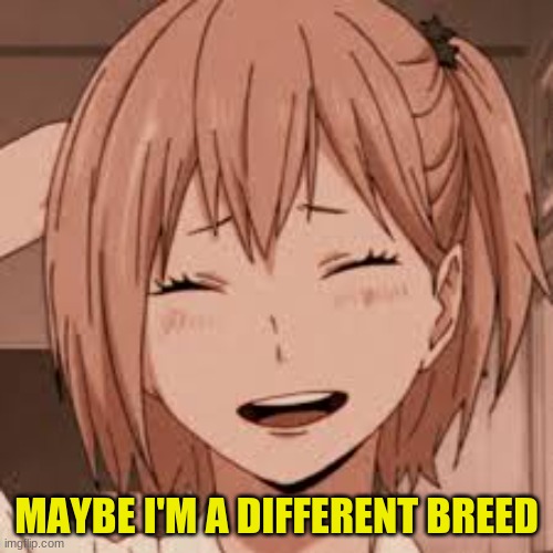 MAYBE I'M A DIFFERENT BREED | made w/ Imgflip meme maker