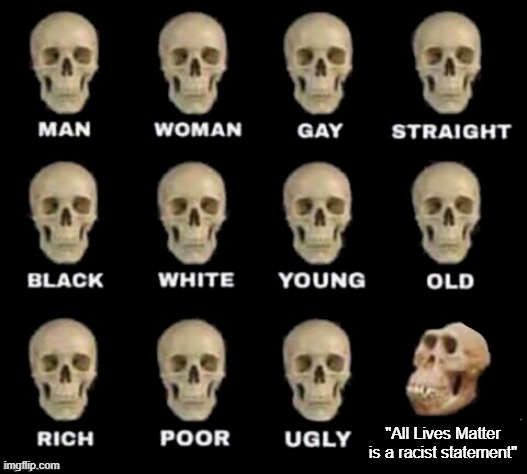 Think about it, now. . . | "All Lives Matter is a racist statement" | image tagged in idiot skull | made w/ Imgflip meme maker