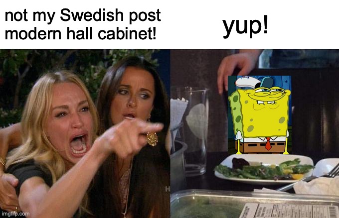 Woman Yelling At Cat Meme | not my Swedish post modern hall cabinet! yup! | image tagged in memes,woman yelling at cat | made w/ Imgflip meme maker