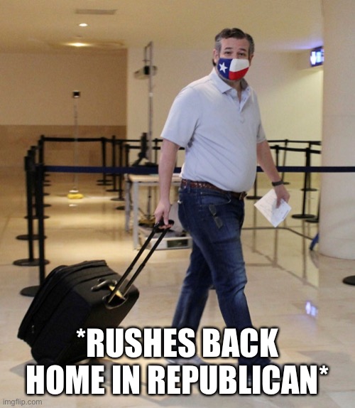 Scurry home, Cruz | *RUSHES BACK HOME IN REPUBLICAN* | image tagged in ted cruz airport | made w/ Imgflip meme maker