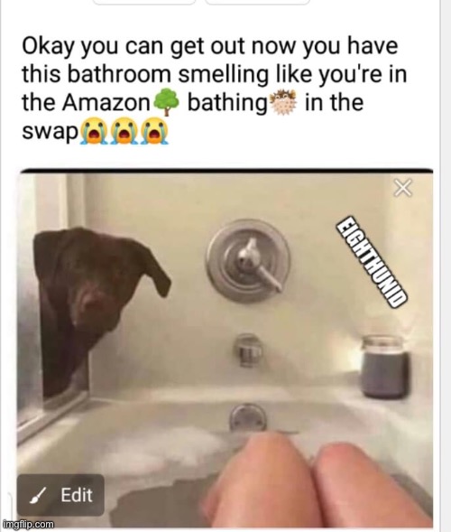 Man’s best | image tagged in pets | made w/ Imgflip meme maker