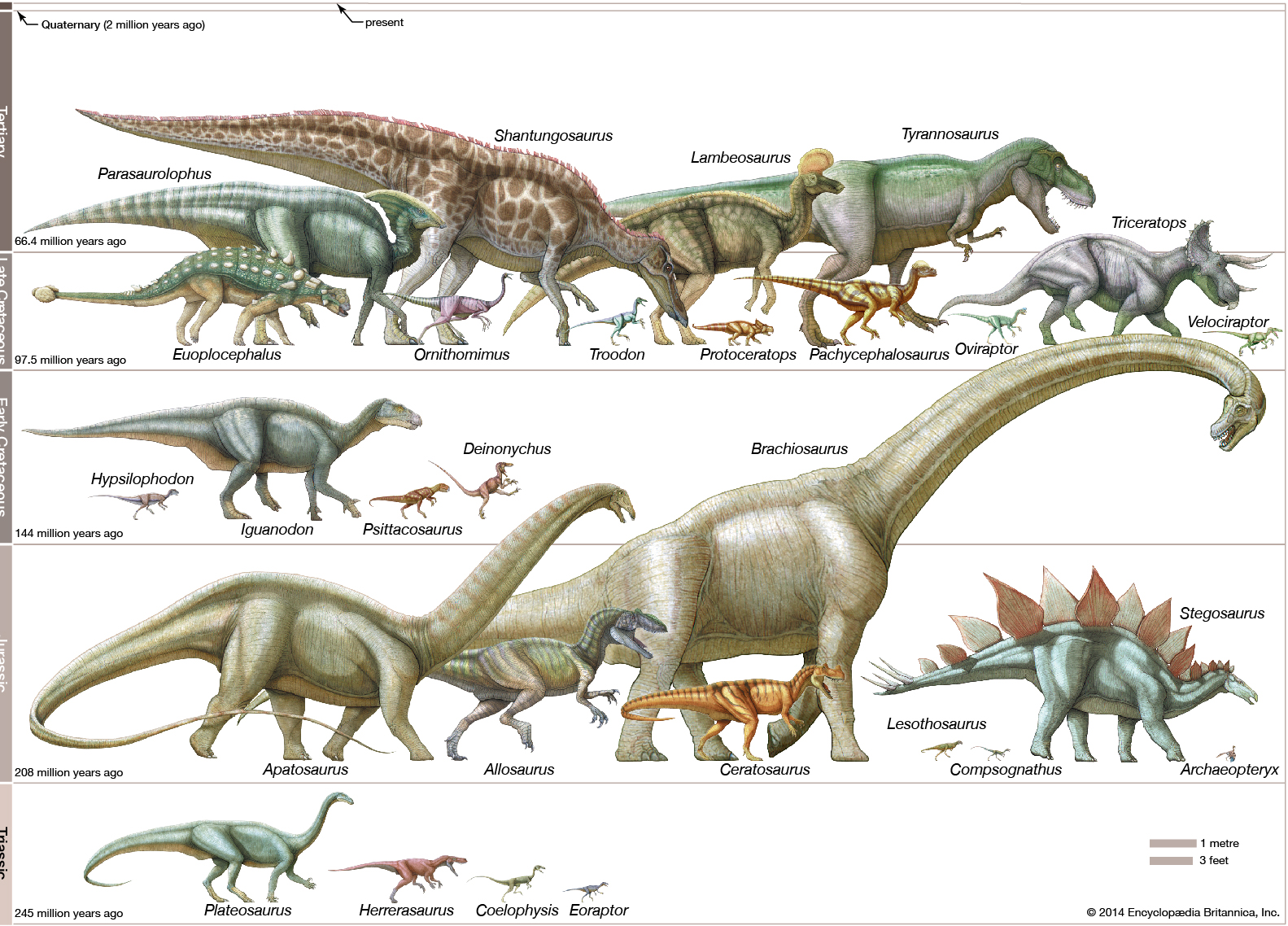 Dinos Blank Template Imgflip