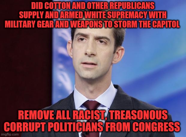 Tom Cotton Guilty | DID COTTON AND OTHER REPUBLICANS SUPPLY AND ARMED WHITE SUPREMACY WITH MILITARY GEAR AND WEAPONS TO STORM THE CAPITOL; REMOVE ALL RACIST, TREASONOUS CORRUPT POLITICIANS FROM CONGRESS | image tagged in tom cotton guilty | made w/ Imgflip meme maker