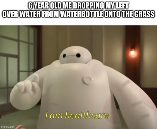health | 6 YEAR OLD ME DROPPING MY LEFT OVER WATER FROM WATERBOTTLE ONTO THE GRASS | image tagged in i am healthcare,baymax,grass,water bottle | made w/ Imgflip meme maker
