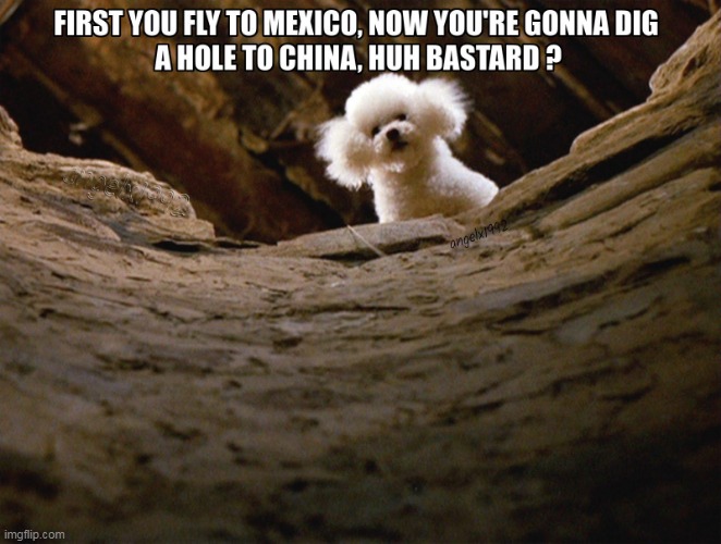 image tagged in ted cruz,silence of the lambs,mexico,poodle,snowstorm,china | made w/ Imgflip meme maker