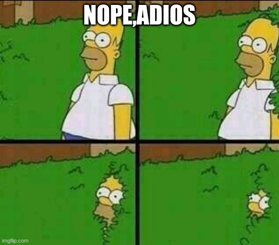 Homer Simpson Nope | NOPE,ADIOS | image tagged in homer simpson nope | made w/ Imgflip meme maker