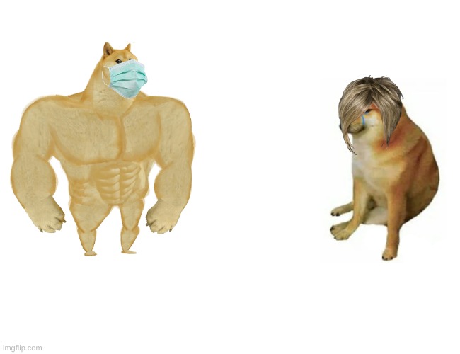 Buff Doge vs. Cheems | image tagged in memes,buff doge vs cheems | made w/ Imgflip meme maker