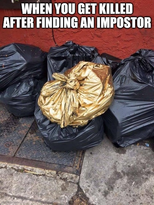 True | WHEN YOU GET KILLED AFTER FINDING AN IMPOSTOR | image tagged in golden trash bag | made w/ Imgflip meme maker