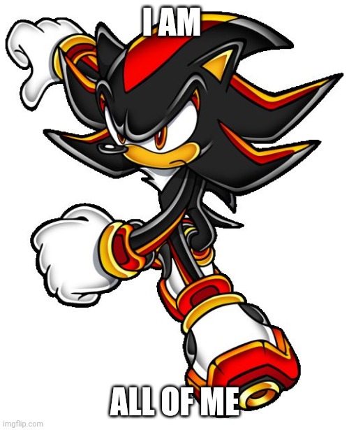 Shadow the hedgehog | I AM ALL OF ME | image tagged in shadow the hedgehog | made w/ Imgflip meme maker