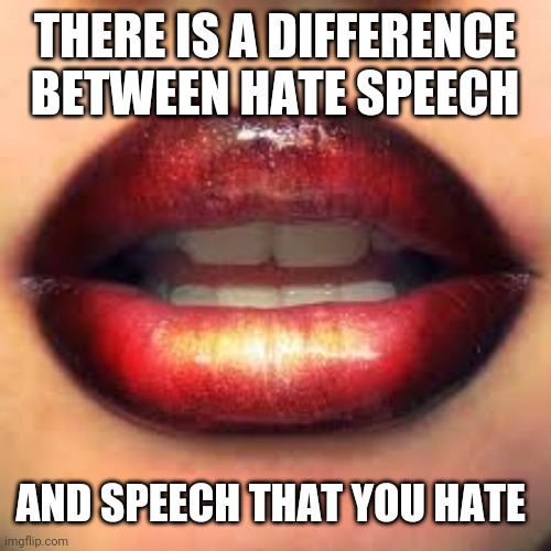 Freedom of Speech | THERE IS A DIFFERENCE BETWEEN HATE SPEECH; AND SPEECH THAT YOU HATE | image tagged in freedom of speech | made w/ Imgflip meme maker
