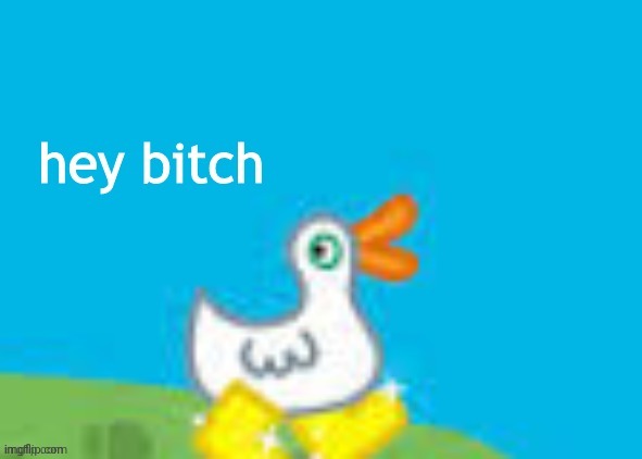hey bitch duck | image tagged in hey bitch duck | made w/ Imgflip meme maker
