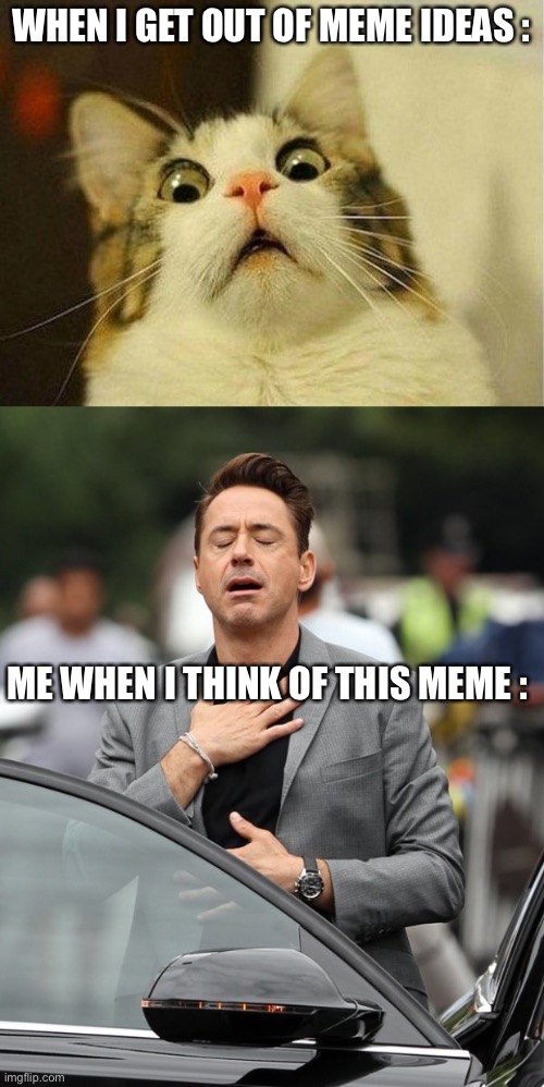 WHEN I GET OUT OF MEME IDEAS :; ME WHEN I THINK OF THIS MEME : | image tagged in memes,scared cat,relief | made w/ Imgflip meme maker