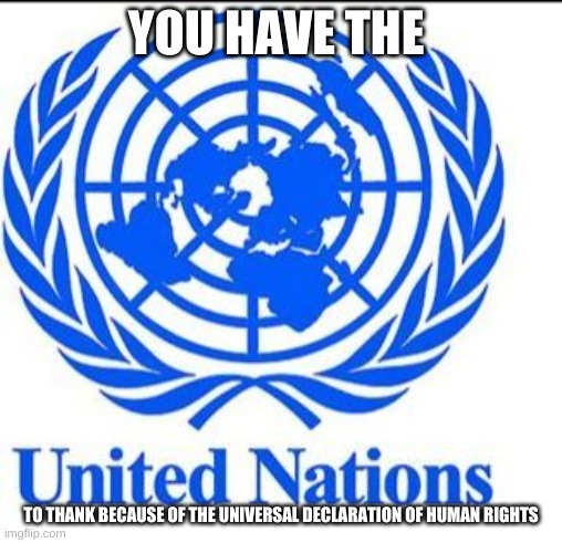 United Nations | YOU HAVE THE TO THANK BECAUSE OF THE UNIVERSAL DECLARATION OF HUMAN RIGHTS | image tagged in united nations | made w/ Imgflip meme maker